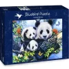 Bluebird Puzzle: Panda Family (1000)