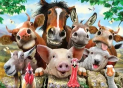 Cheatwell: Double Trouble, Selfies - Farm (500)