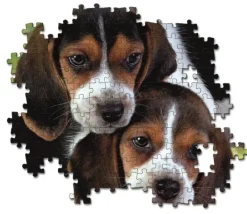 Clementoni: Close Together (500)