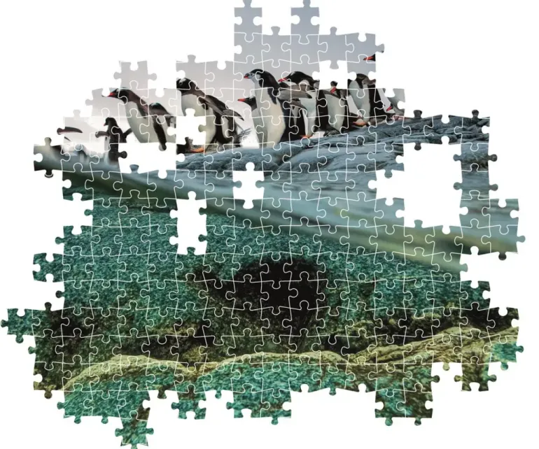 Clementoni: National Geographics - Gentoo Penguins (1000)