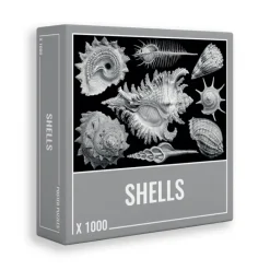 Cloudberries - Shells (1000)