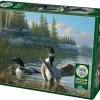 Cobble Hill: Common Loons (1000)