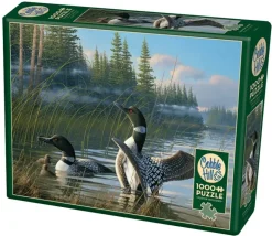 Cobble Hill: Common Loons (1000)