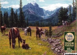 Cobble Hill: Horse Meadow (1000)