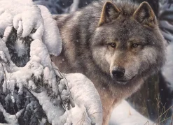 Cobble Hill: Master of the North (1000)