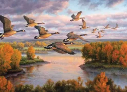 Cobble Hill: Migration (1000)