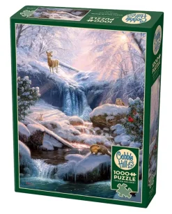 Cobble Hill: Mystic Falls in Winter (1000)