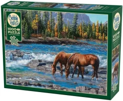 Cobble Hill: On the Rocks (1000)