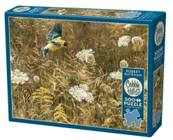 Cobble Hill: Queen Anne's Lace and American Goldfinch (500)