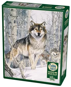 Cobble Hill: Second Glance (1000)