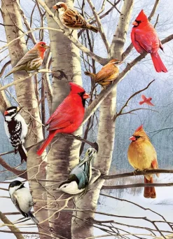 Cobble Hill: Winter Birds (1000)