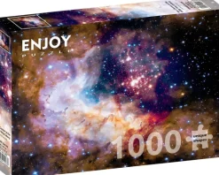 Enjoy: Star Cluster in the Milky Way Galaxy (1000)