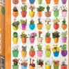 EuroGraphics: Cacti and Succulents (1000)