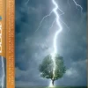 EuroGraphics: Lighting Striking Tree (1000)