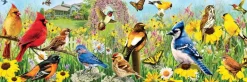 EuroGraphics: Panorama - Garden Birds (1000)