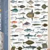 EuroGraphics: Sea Fish (1000)