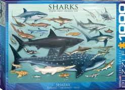 EuroGraphics: Sharks (1000)