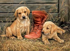 EuroGraphics: Something Old, Something New (1000)