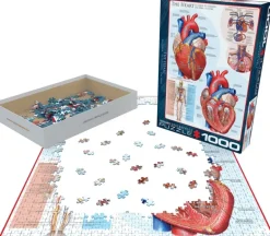 EuroGraphics: The Heart (1000)