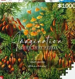 Good Loot: Imagination - Ernst Haeckel, Mucinae (1000)