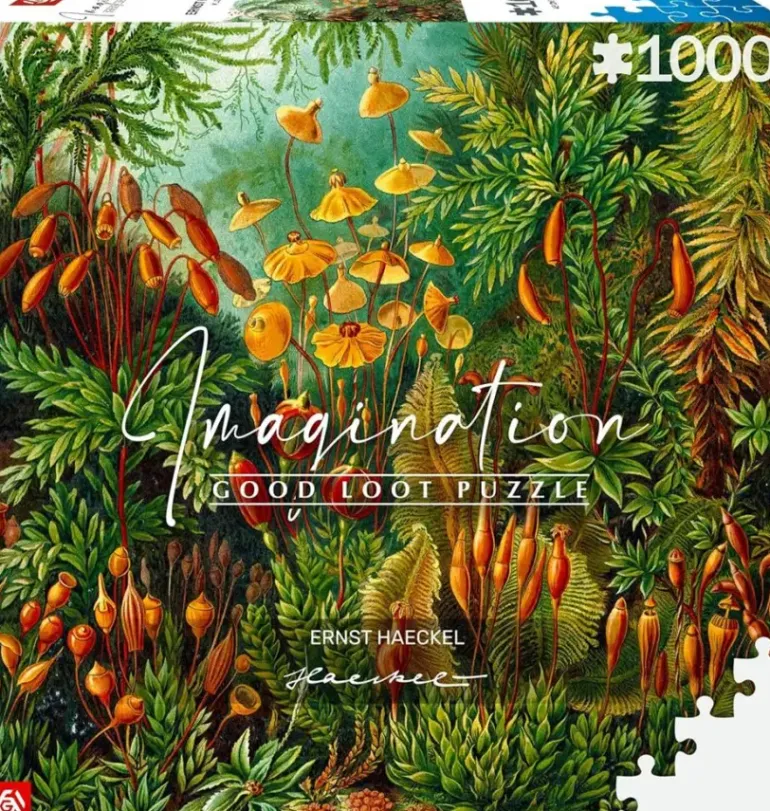 Good Loot: Imagination - Ernst Haeckel, Mucinae (1000)