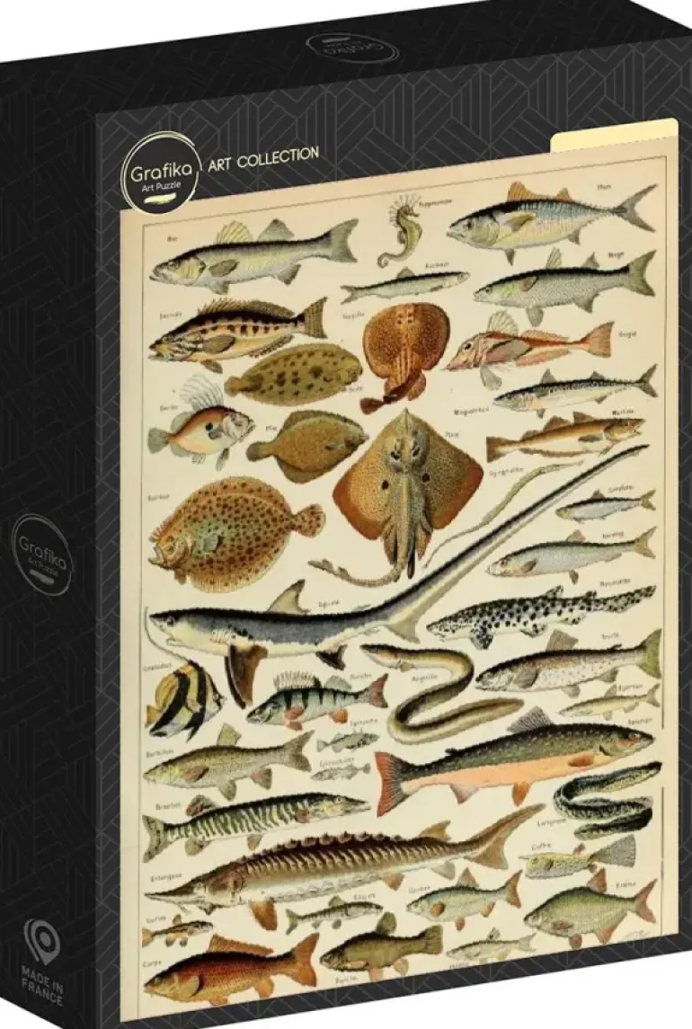 Grafika: Larousse - Fish (1000)