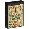 Grafika: Larousse - Vegetables and Vegetable Plants (1000)