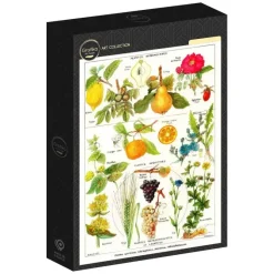 Grafika: Larousse Medical - Astringent and Aperitive Plants (1000)