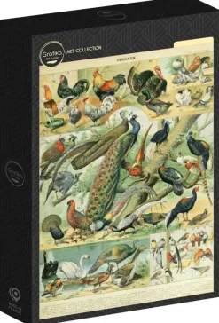 Grafika: Nouveau Larousse - Birds (1000)