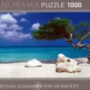 Heye: Panorama - Humboldt, Divi Divi Tree (1000)