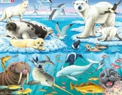 Larsen: Rampussel - Antarktis, Djurliv i Hav och på Land (75)