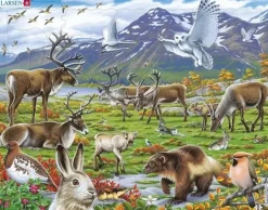 Larsen: Rampussel - Renar och Nordiska Djur i Fjällvärlden (50)