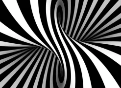 Nova Puzzle: Black and White Spiral (1000)