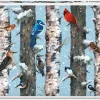 Piatnik: Christmas Birds (1000)