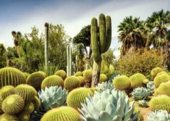 Ravensburger: Beautiful Gardens - The Huntington Desert Garden, California, USA (1000)