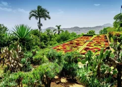 Ravensburger: Beautiful Gardens - Botanical Garden, Madeira (1000)