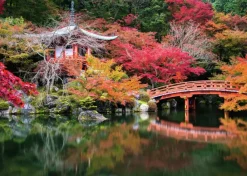 Ravensburger: Beautiful Gardens - Daigo-ji, Kyoto, Japan (1000)