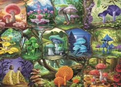 Ravensburger: Beautiful Mushrooms (1000)
