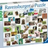 Ravensburger: Funny Animals Collage (1500)