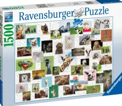Ravensburger: Funny Animals Collage (1500)