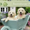 Ravensburger: Golden Retriever (200)