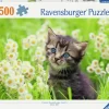 Ravensburger: Kitten in the Meadow (500)