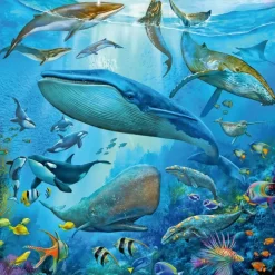 Ravensburger: Ocean Life (3 x 49)