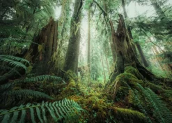 Ravensburger: Power of Nature - Stefan Hefele, In the Forest (1000)