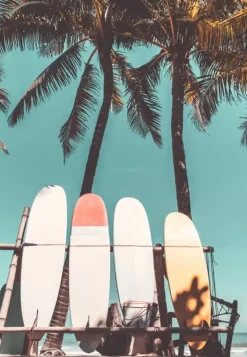 Ravensburger: Puzzle Moment - Surfing (300)