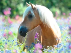 Ravensburger: Wildflower Pony (300)