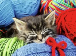 Ravensburger: Wool Cat (100)