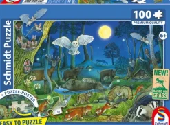 Schmidt: Animals in a Night-time Forest (100)