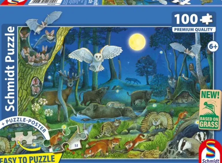 Schmidt: Animals in a Night-time Forest (100)