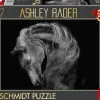 Schmidt: Ashley Rader - Power, Horse - The Epitome of Strength (1000)